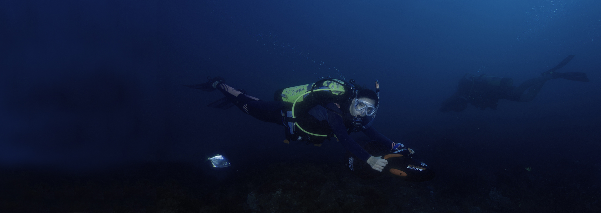 Diver in a wetsuit