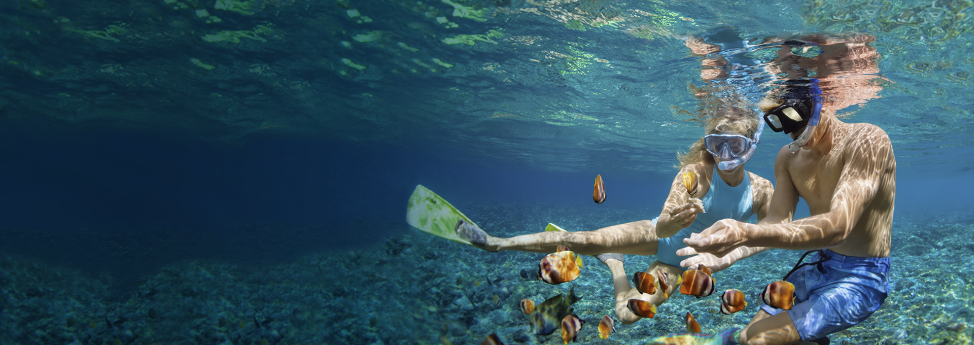 Snorkelers with fins over a reef